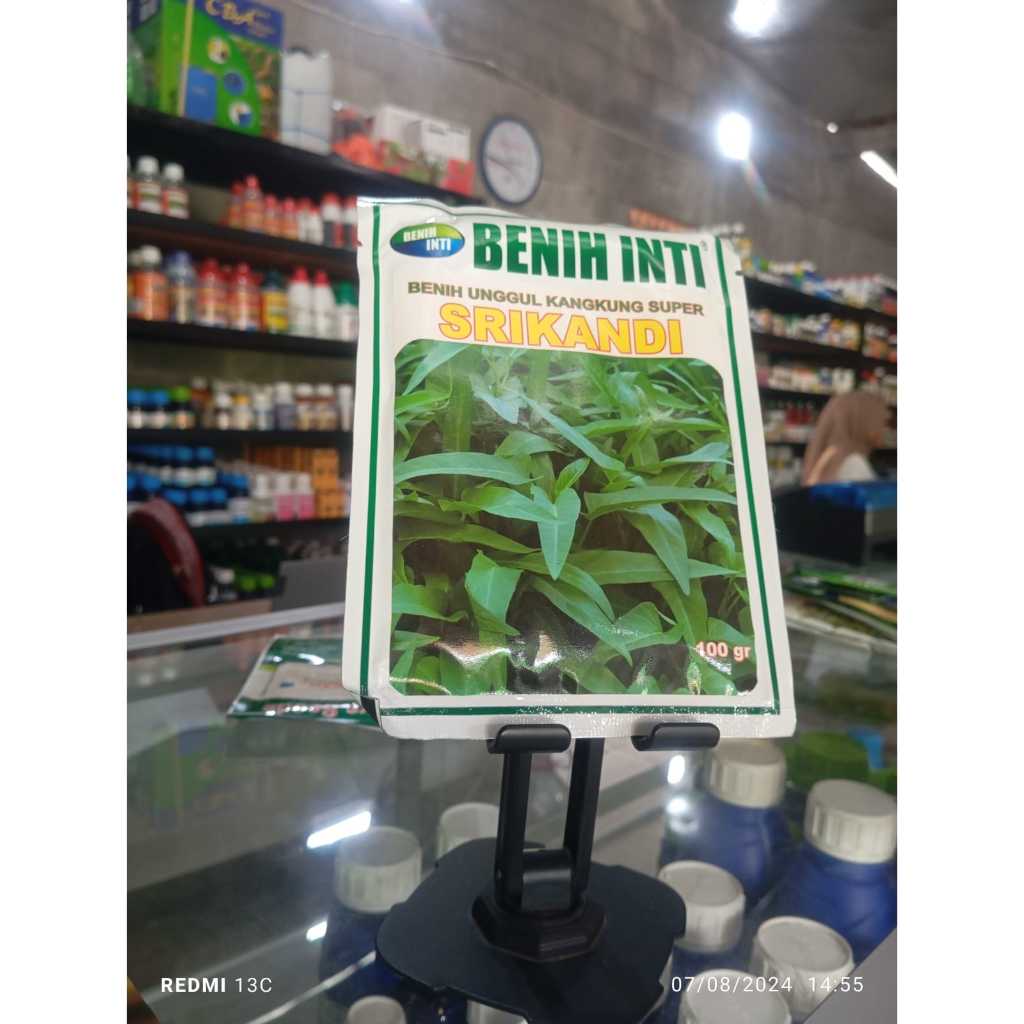 KANGKUNG SRIKANDI BENIH UNGGUL KANGKUNG SUPER