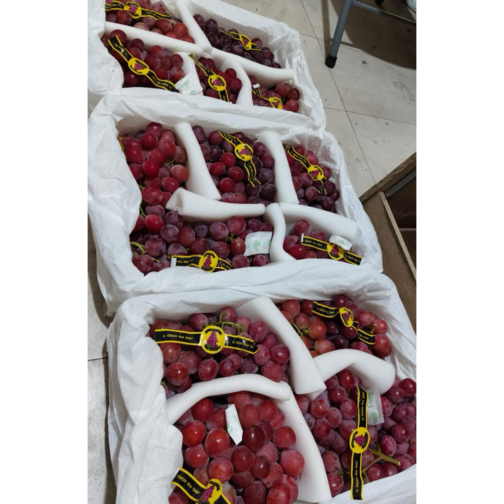 

Anggur Super/fresh/red globe