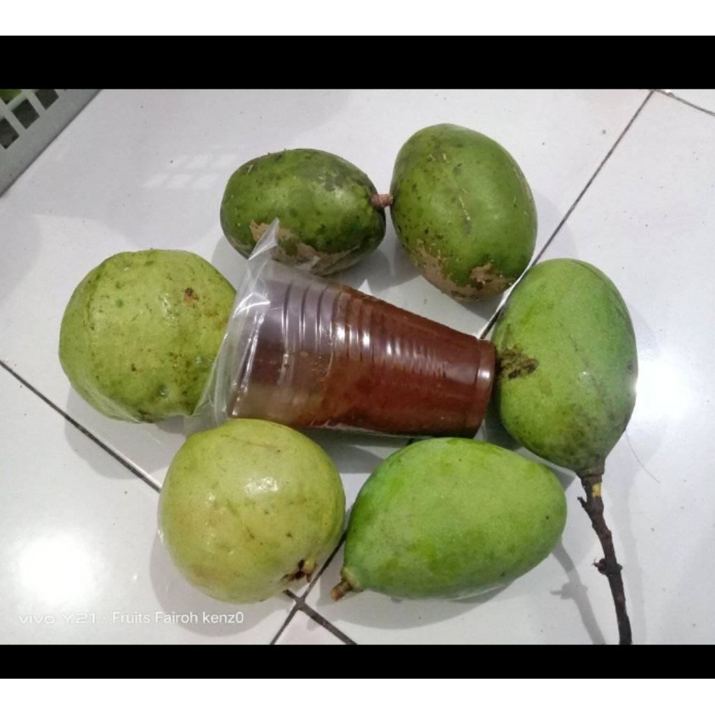 

Petis Madura asli petis super petis viral gratis mangga jumbo
