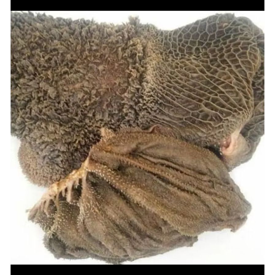 

Babat Hitam Sapi Lokal 500Gram / Daging Babat Sapi segar murah