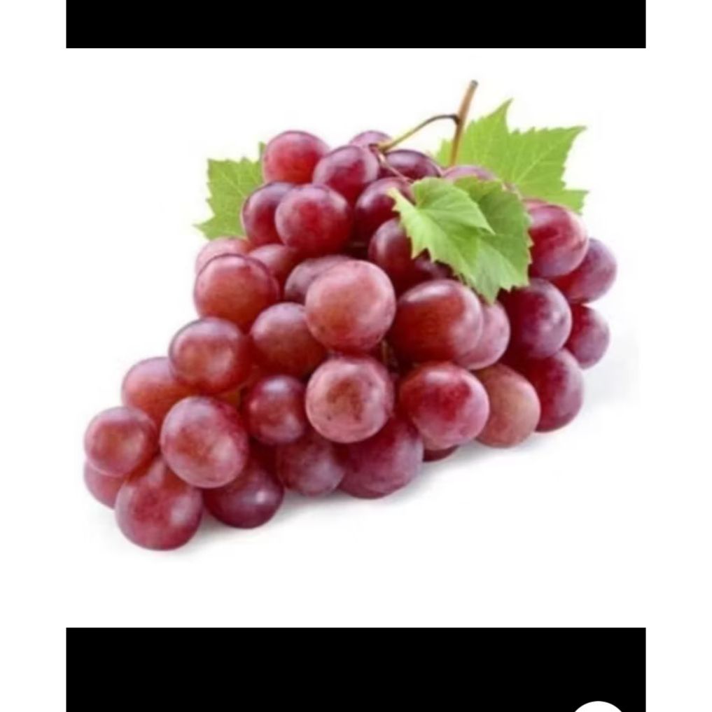 

Anggur segar pilihan murah fresh