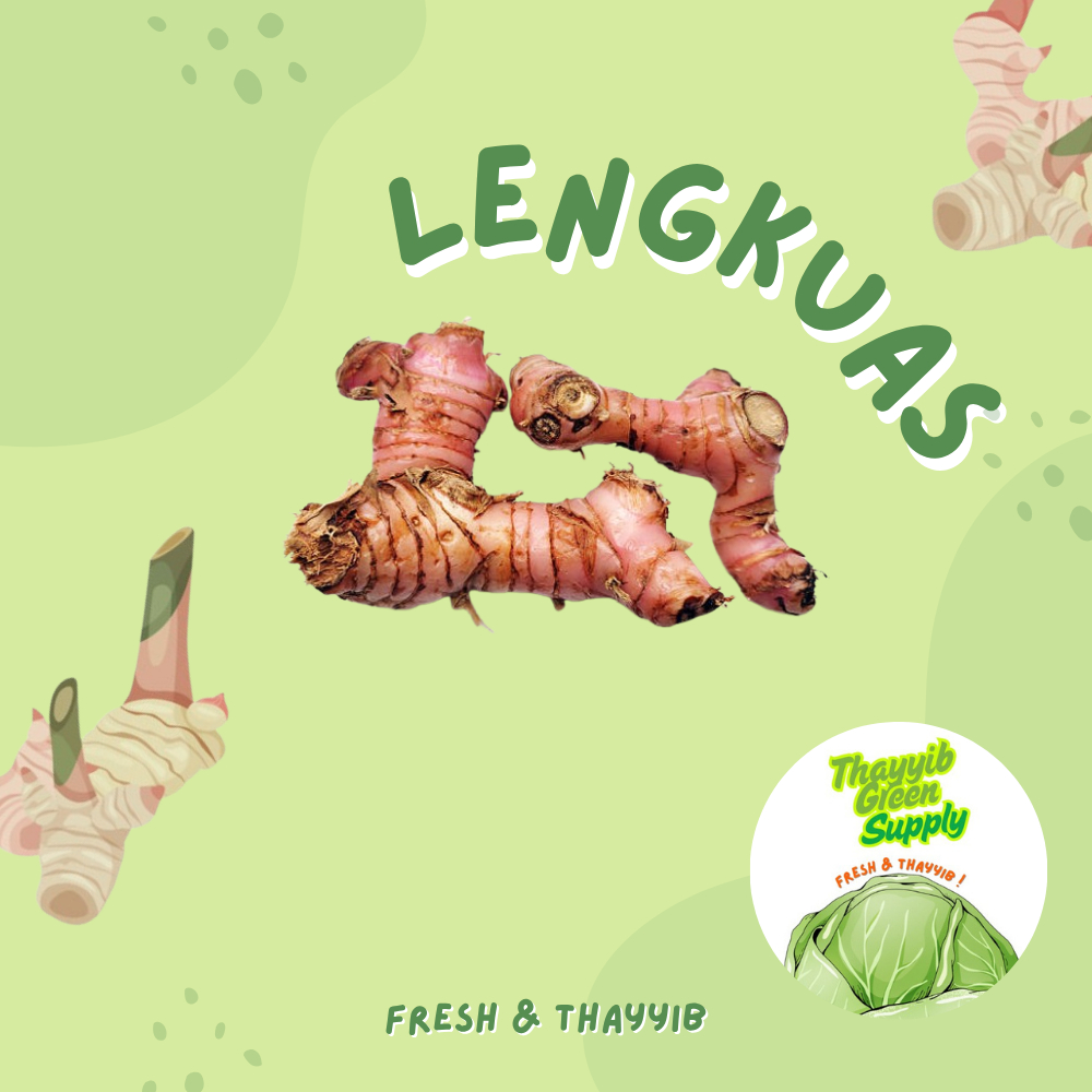 

LENGKUAS / LAOS / LENGKOAS 1 KG (BUMBU DAPUR) - THAYYIB GREEN SUPPLY
