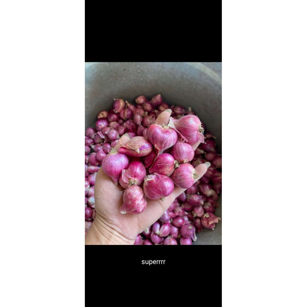 

bawah merah murah 1/2kg asal ngnjuk
