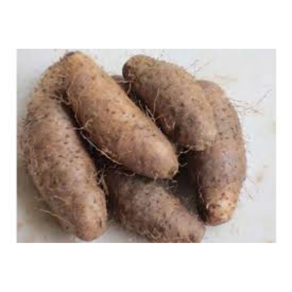 

Ubi Gembili Ketan / Ubi Gebili 1Kg