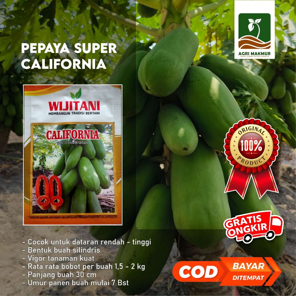 Benih Pepaya - California Wijitani seed