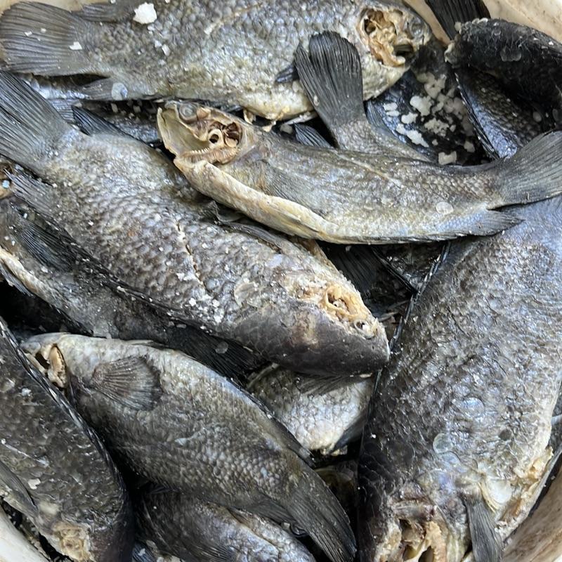 

WADI PAPUYU ASLI – Rasa Kuat, Gurih & Wangi Khas Banjar