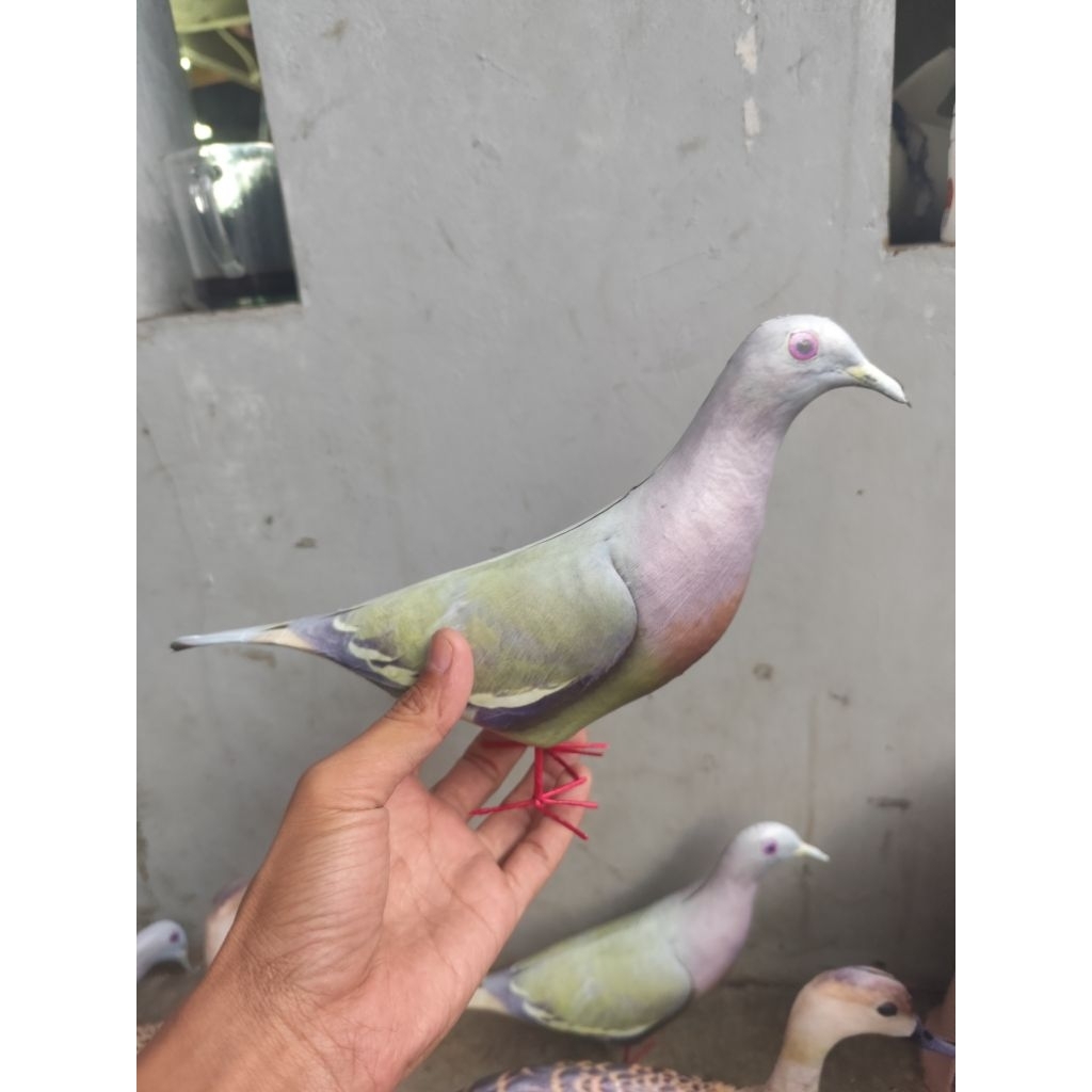 patung jontrot burung punai mirip sekali / boneka manuk walik