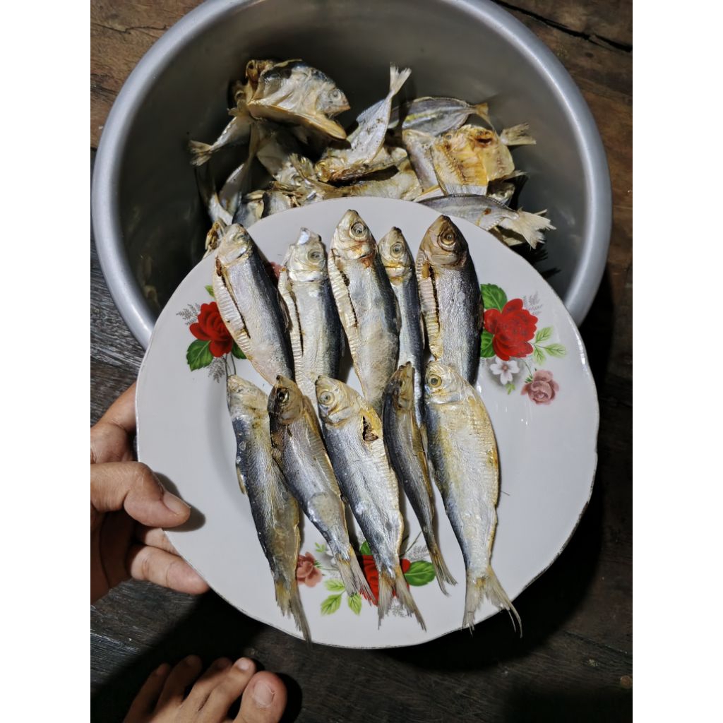 

ikan asin tembang 1 kilogram