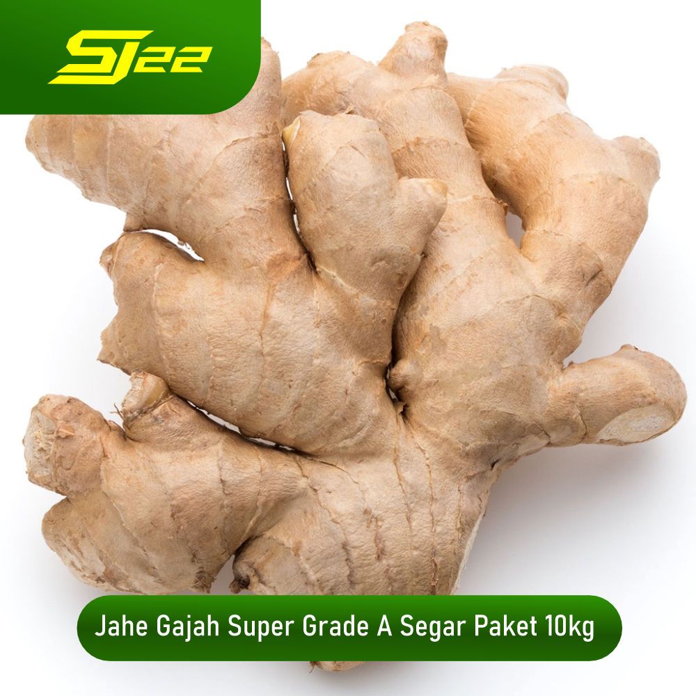 

Termurah Jahe Gajah Berkualitas Siap Konsumsi paket 10kg