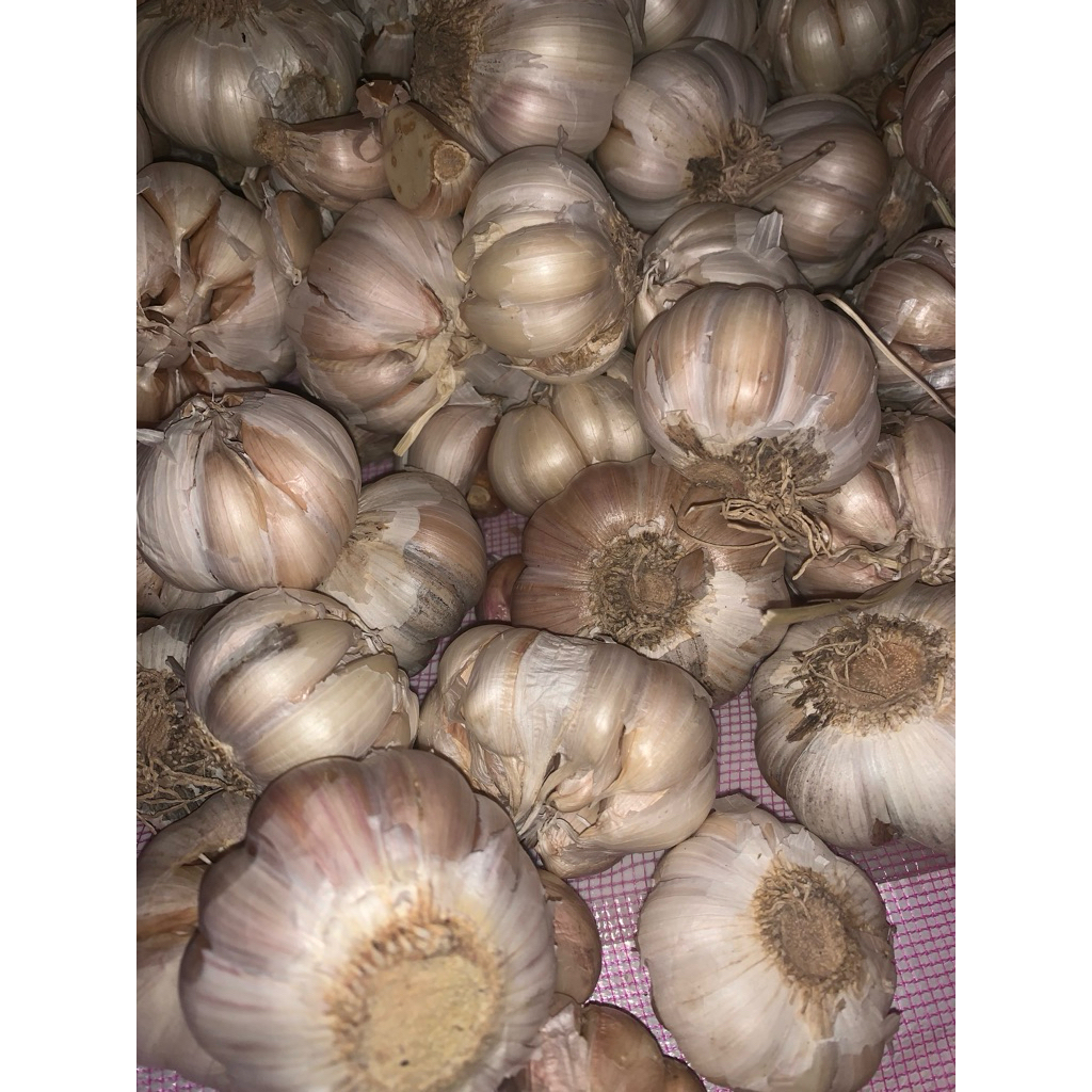 

obral Bw putih 250gr