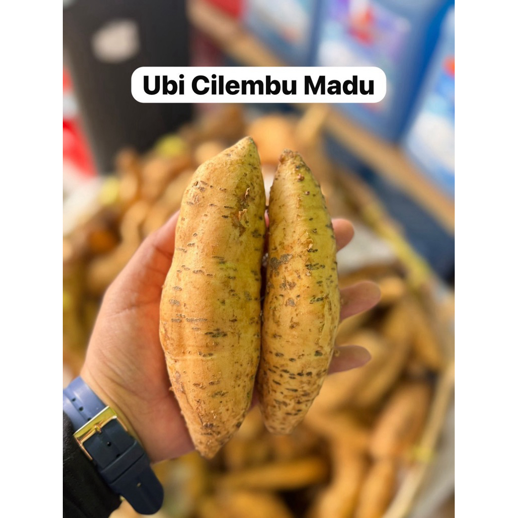 

UBI CILEMBU MADU 1KG
