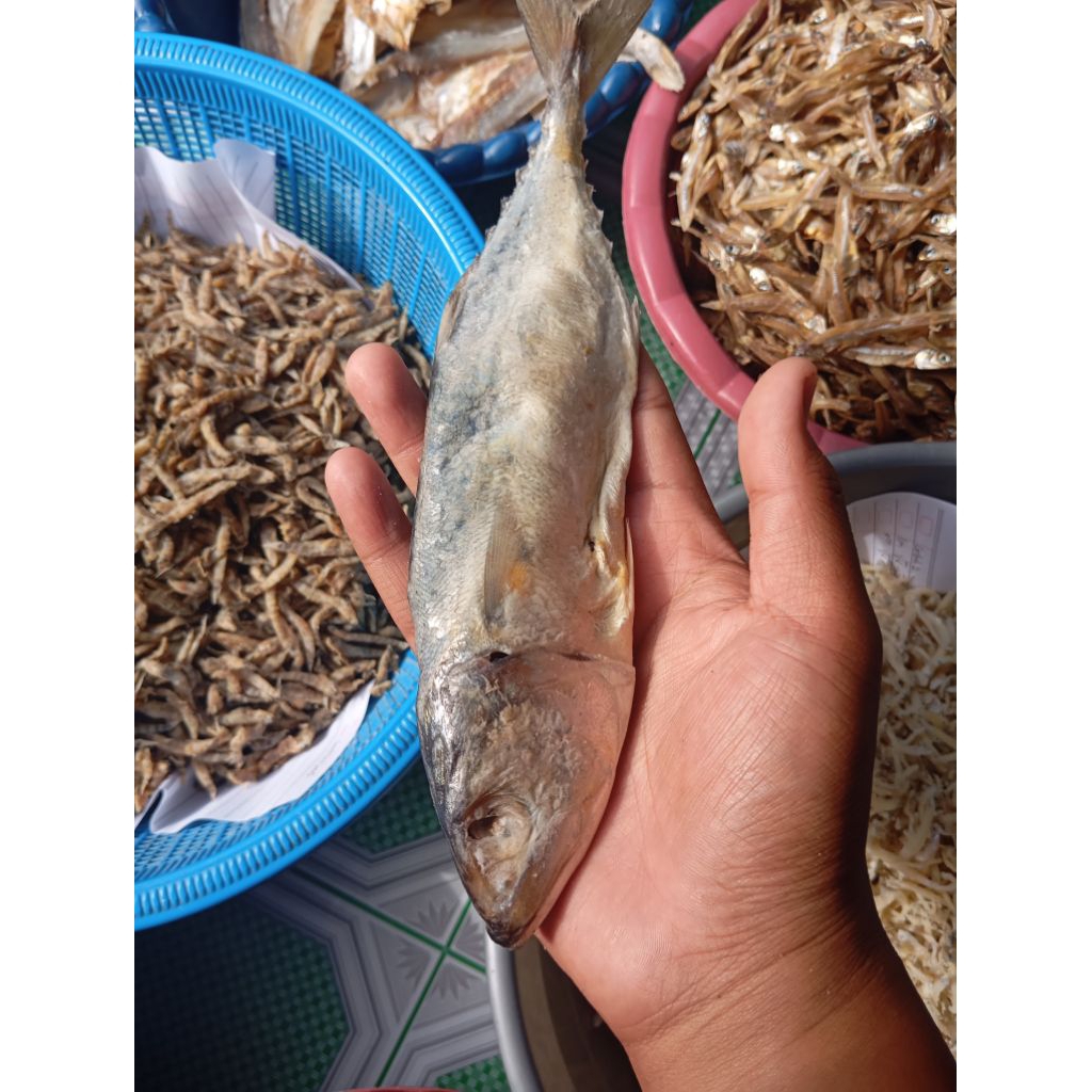 

Ikan Asin Peda 250gr/500gr