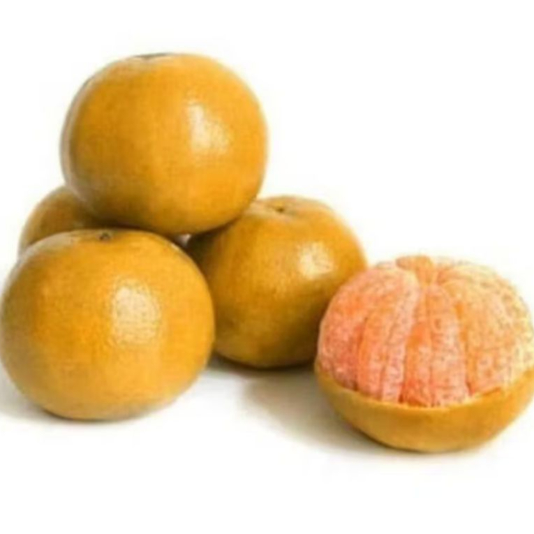 

Grosir Jeruk Medan 500 Gr / Jeruk Warangan