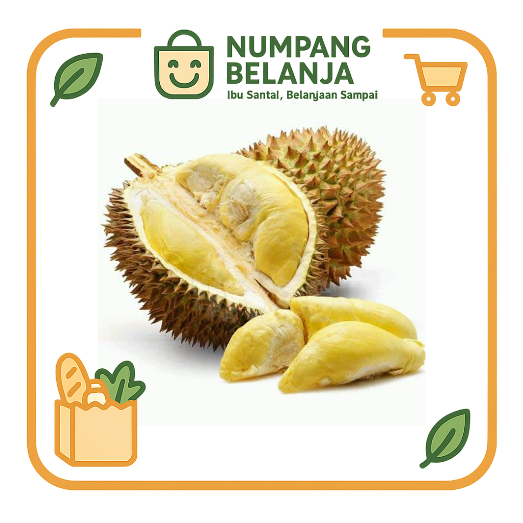 

durian montong super fresh [1 buah]