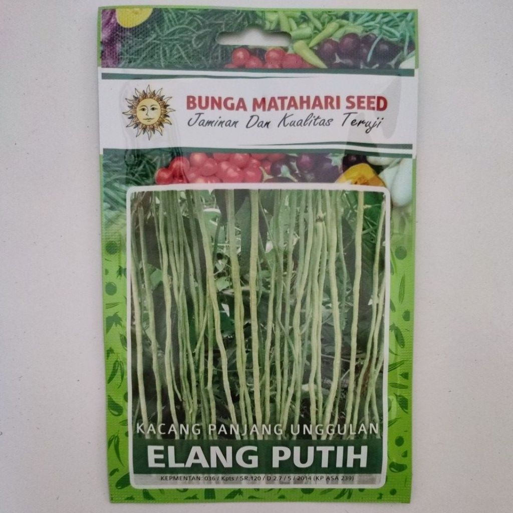 

Kacang panjang elang putih 150 butir kemasan kecil. Expired september 2026