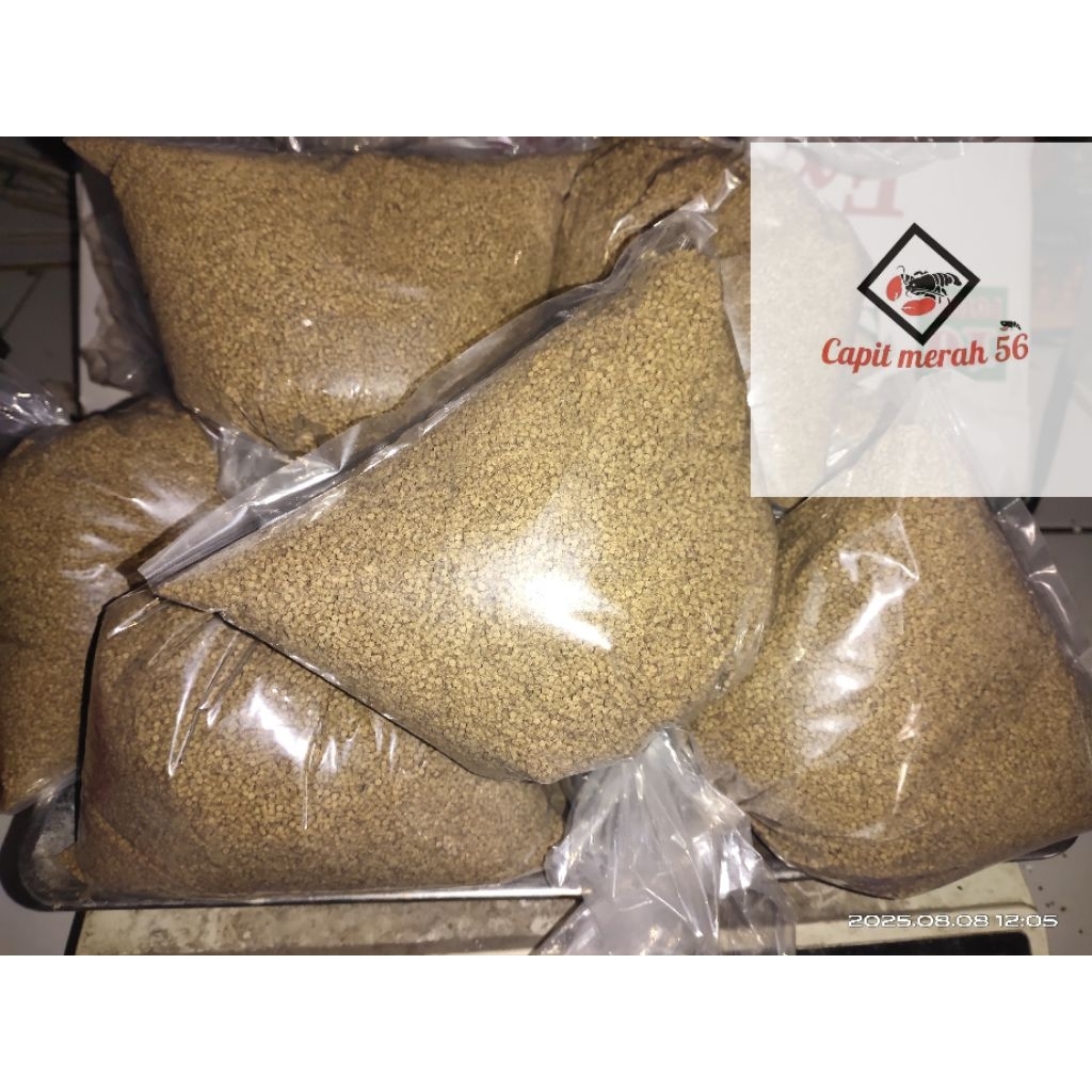 pakan/pelet 500g kusus Lobster air tawar fengli super platinum 3L tinggi protein