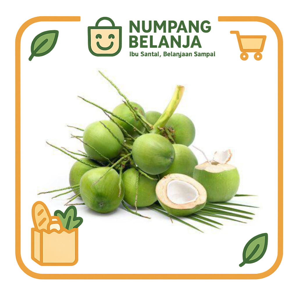 

kelapa hijau buah kelapa ijo fresh [1buah]