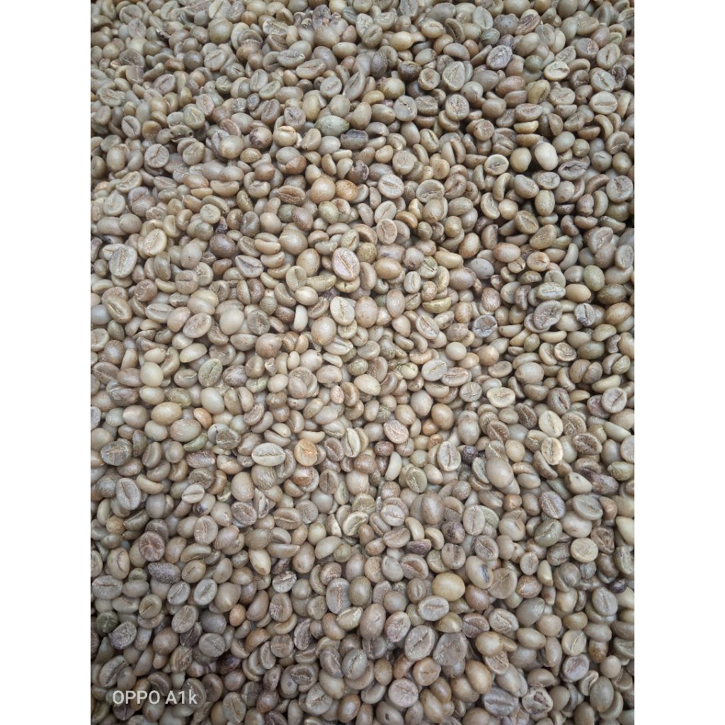 

kopi ROBUSTA biji kecil kualitas super 1kg