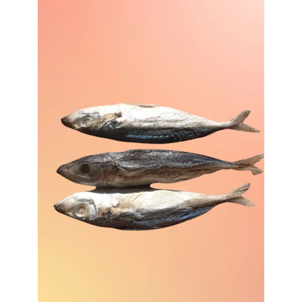 

[COD] IKAN LAYANG ASIN BESAR EMPUK / JAPUH KETAN /JAPUH ASIN BESAR EMPUK [ 1 KG ] [ 500 GR ] [ 250 GR ] QUALITY SUPER BERSIH HIGIENIS