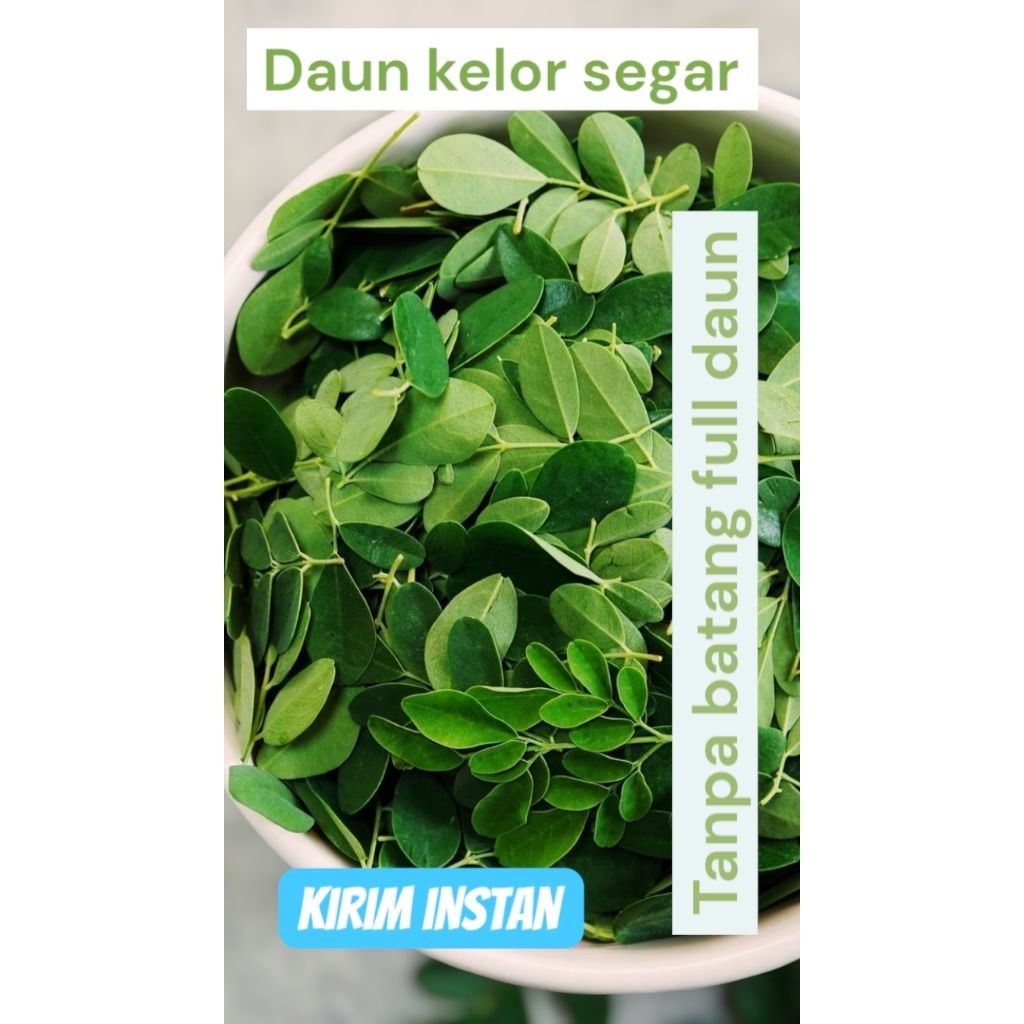 

daun kelor segar obat herbal alami full daun tanpa batang 100gr - 250gr