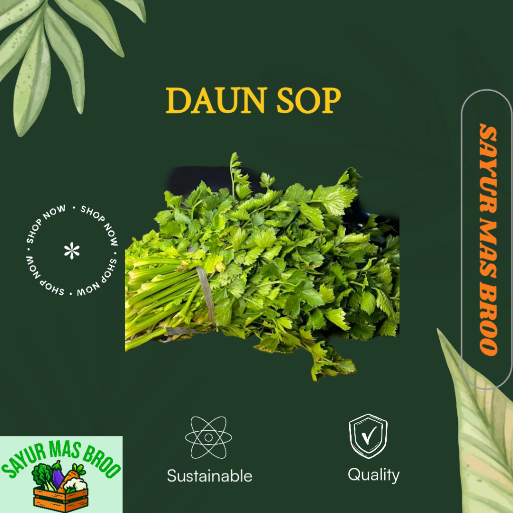 

Daun Sop Seledri - Sayur Sayuran Segar Mas Broo Kota Palembang