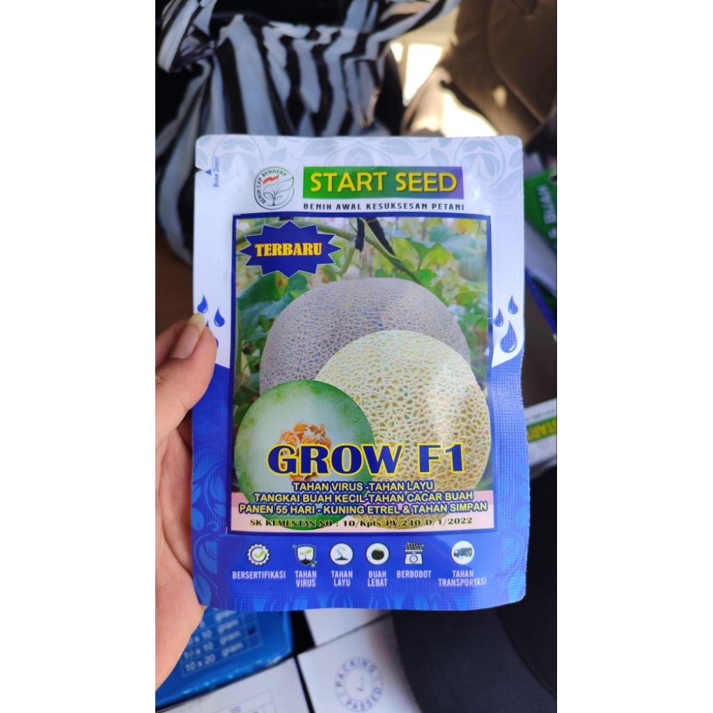 

Benih Melon Putih GROW F1