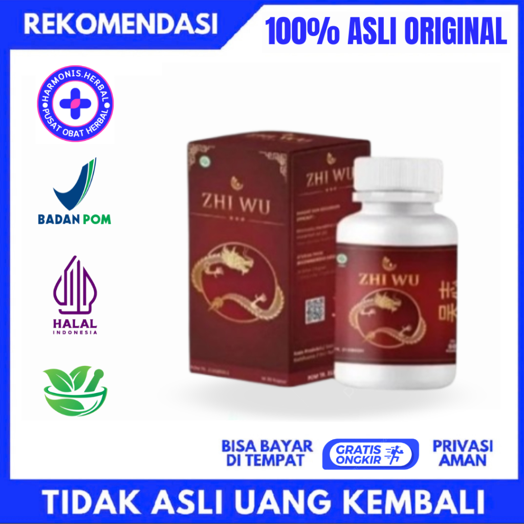 ZHI WU - Obat Herbal Cina Saraf Kejepit Nyeri Pinggang - Paket 1 Botol Isi 30 Kapsul