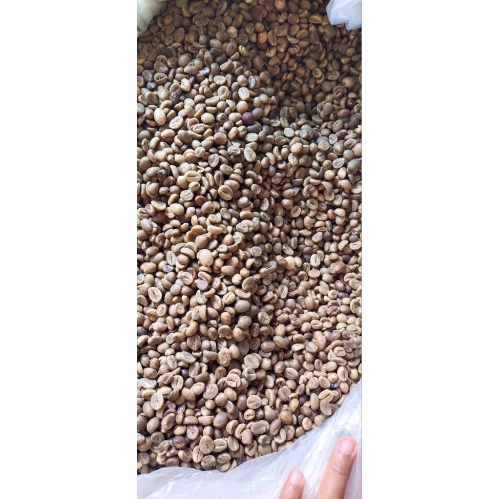 

robusta biji kopi 1kg