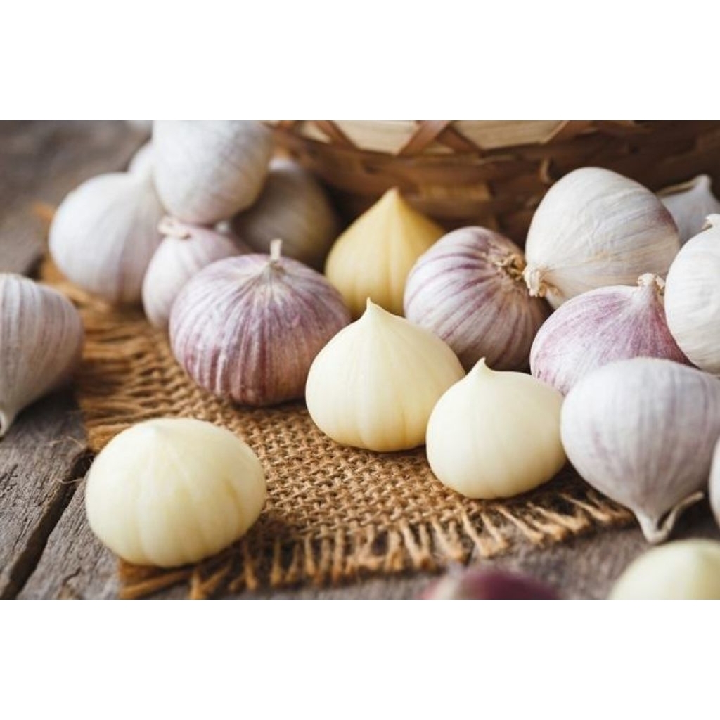 

Bawang Putih Lanang/Tunggal 5 biji, Stamina Pria, antikanker