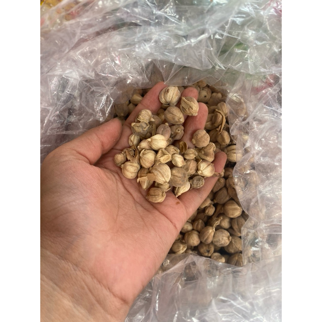 

Kapulaga kering premium