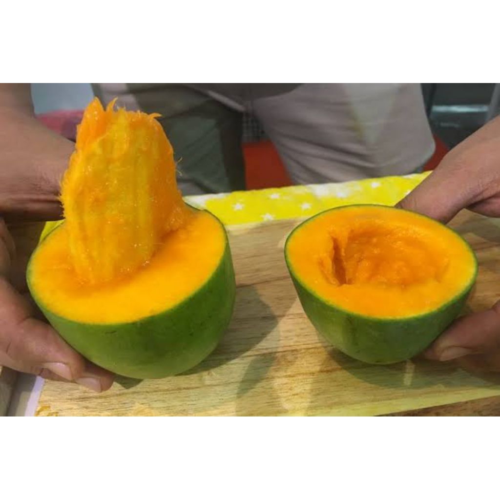 

Buah segar mangga manggoes per 1kg mangga alpukat