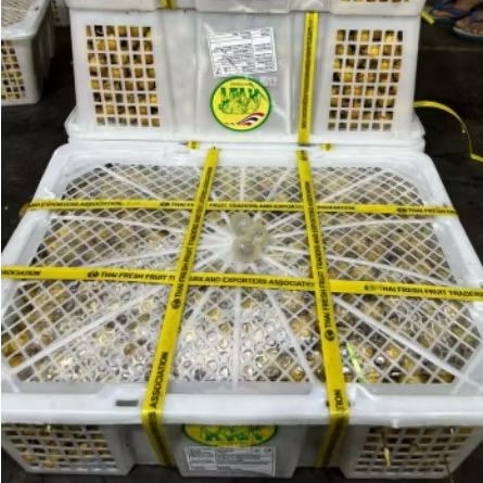 

Buah Klengkeng Bangkok Gjh hijau per 1 bok krat