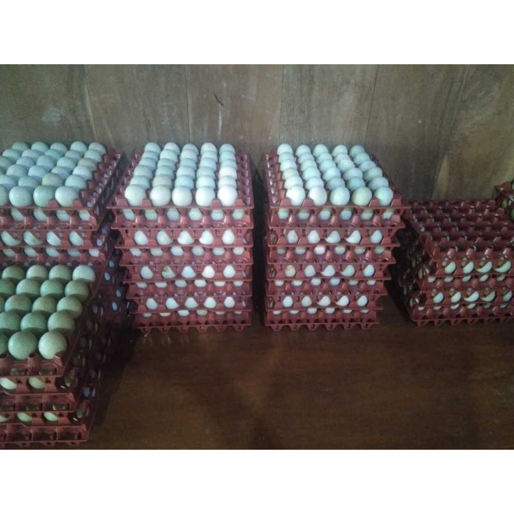 

TELUR BEBEK TAWAR MENTAH 10 BUTIR (packing di jamin aman)