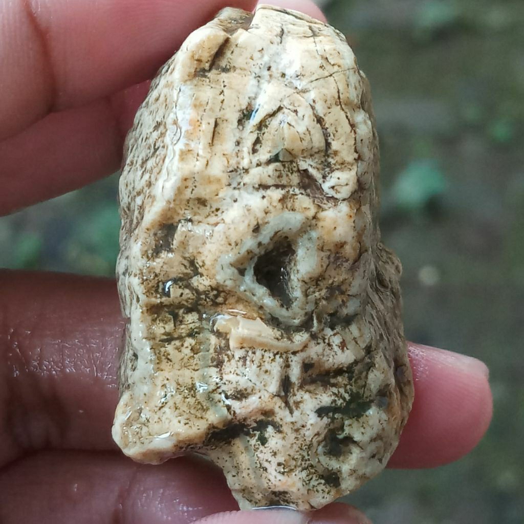 Batu Akik Sulaiman Bahan Asli Alam 100% Natural Unik Langka Dan Terbatas Kode 002