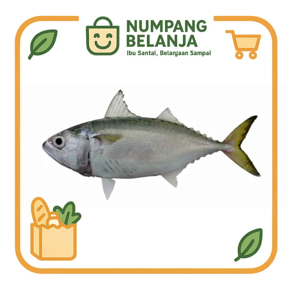 

ikan kembung fresh [500g]