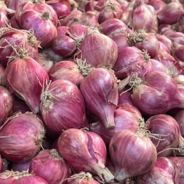 

PROMO!!! (Besar) Bawang Merah Nganjuk Kering Besar Termurah Berkualitas