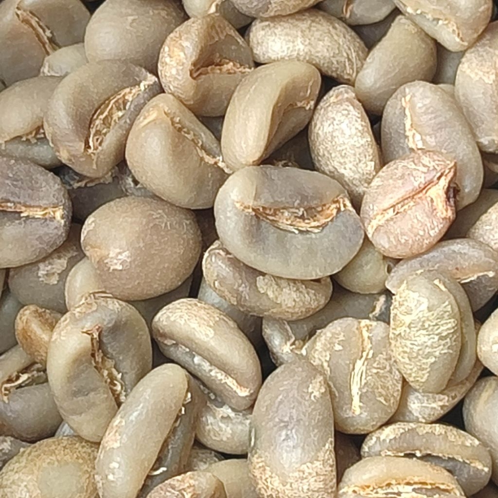 

KOPI BIJI MENTAH ARABIKA FULL WASH PREMIUM KOPI Tasikmalaya 200GR