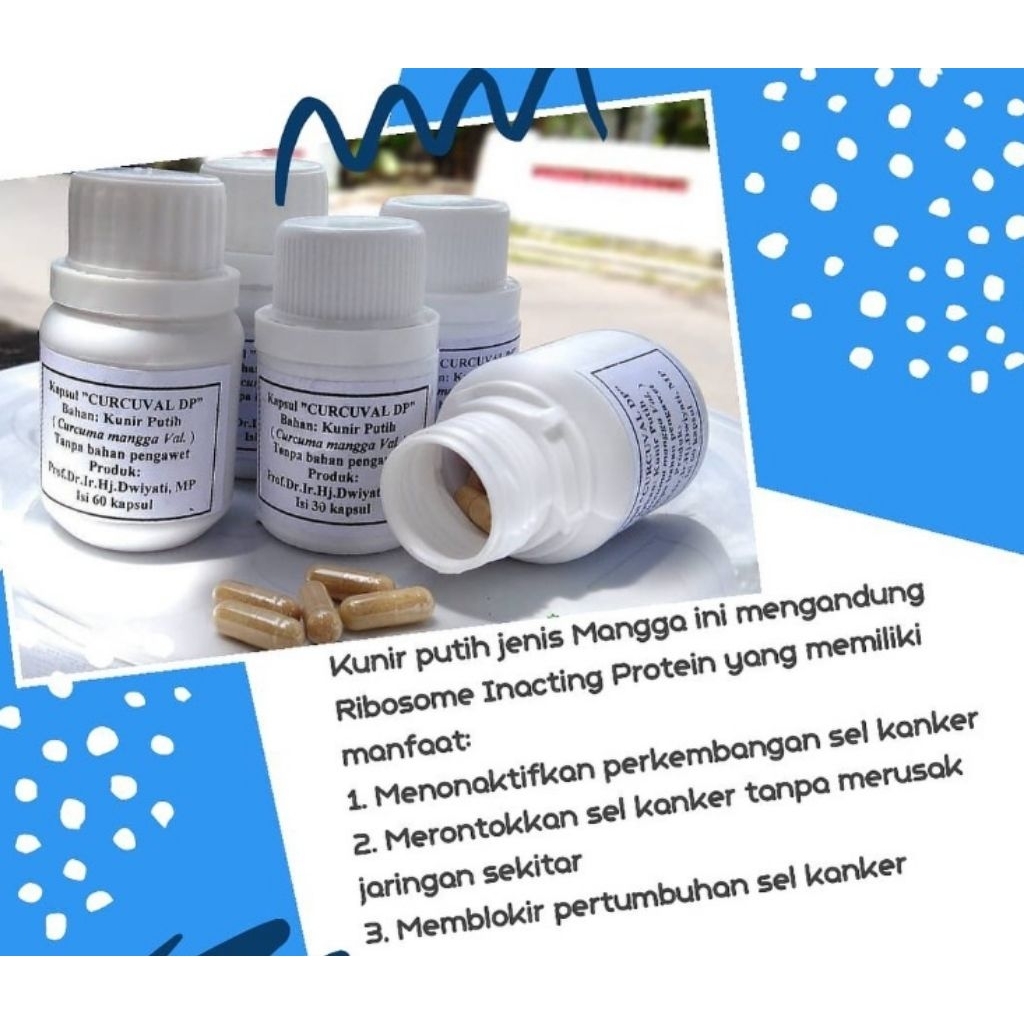 Kunir Putih Curcuma mangga Val. Prof Dwiyati