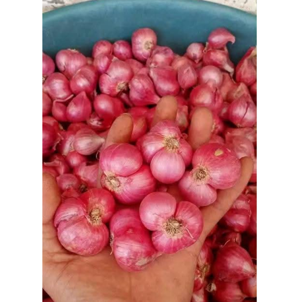 

(500 gram dan 1000 gram)bawang merah kering dengan kualitas premium