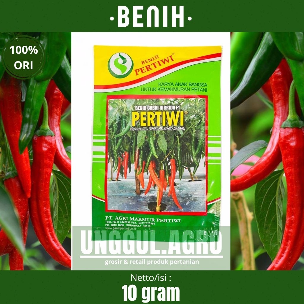 Benih cabai merah besar PERTIWI 10gram dari pertiwi