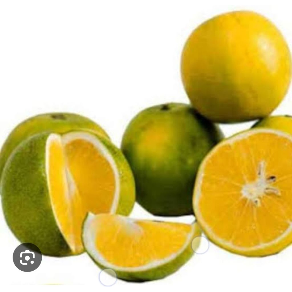 

Jeruk Buah Baby java Fresh 500 Gram