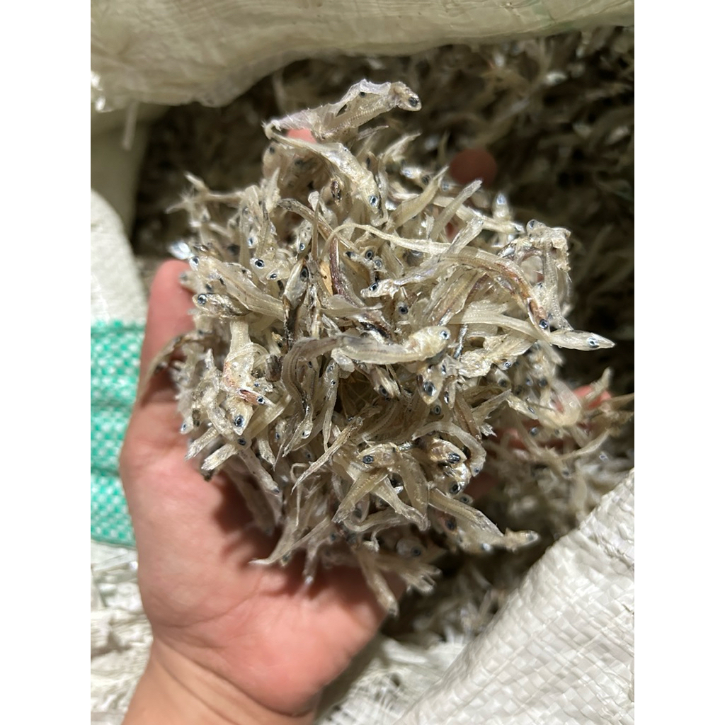 

Teri nasi tawar fresh termurah