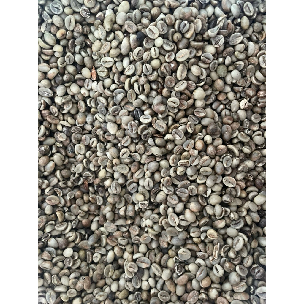 

1 kgbiji kopi robusta asalan temanggung (greenbean)