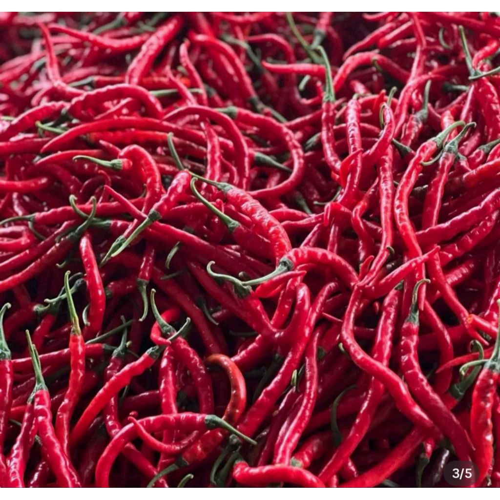 

cek Cabe Keriting Merah kemasan 500gr