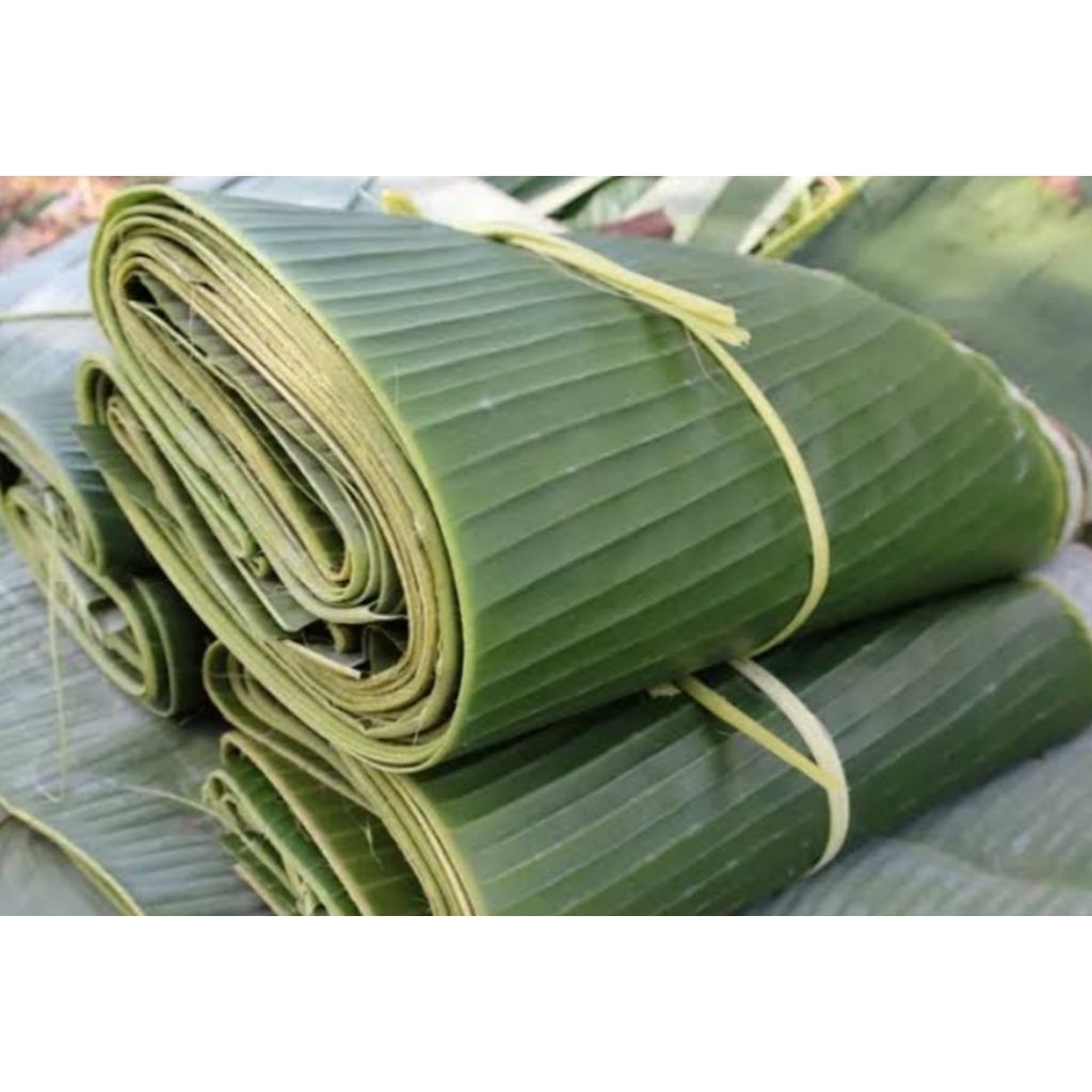 

Daun pisang segar petik langsung 1 kg