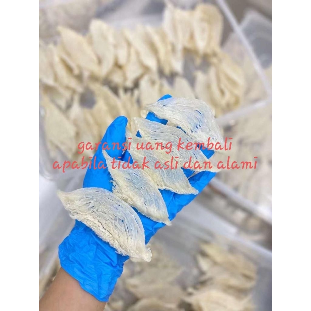 Sarang Burung Walet Bersih Patahan Besar Natural 50 Gram