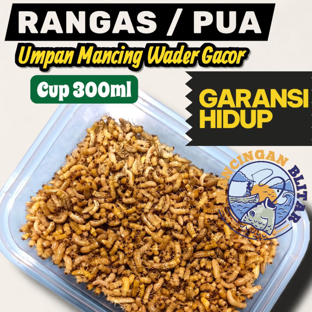 rangas rengas warangas nunuk laron sampero nonol rayap poa cup 350ml