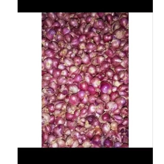 

Bumbu masakan bawang merah brambang