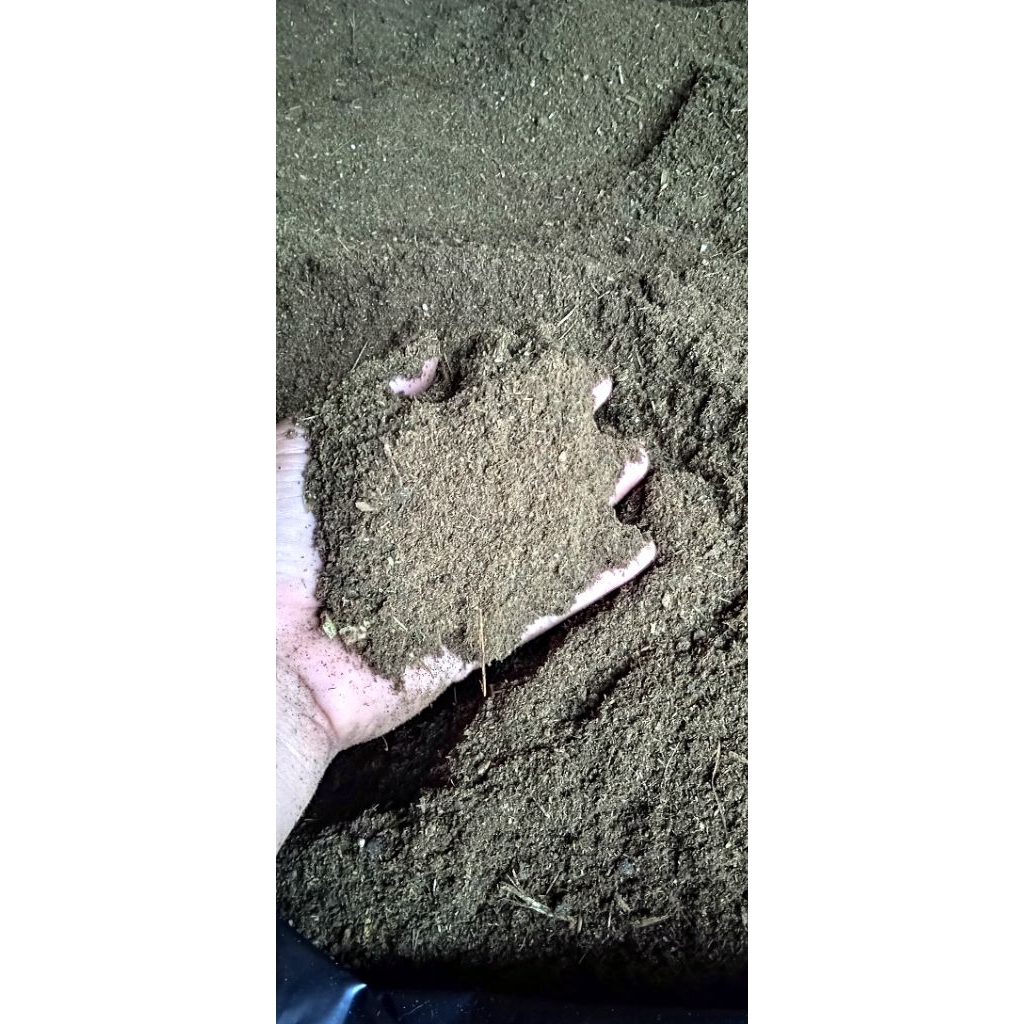 Kohe Kambing Giling Fermentasi / 200 gram / Srintil / Kohe Kambing Halus