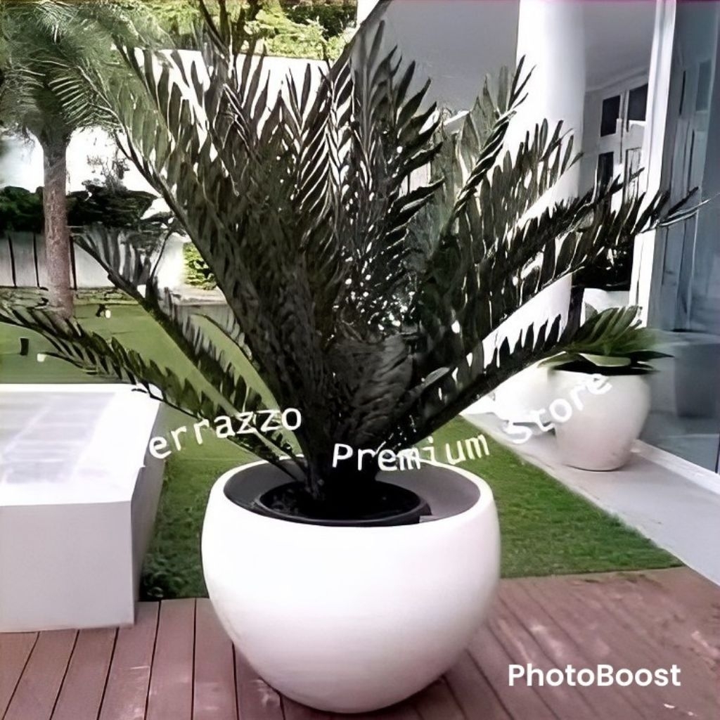 pot tanaman teraso tipe bakul putih | pot tanaman terrazzo putih glossy